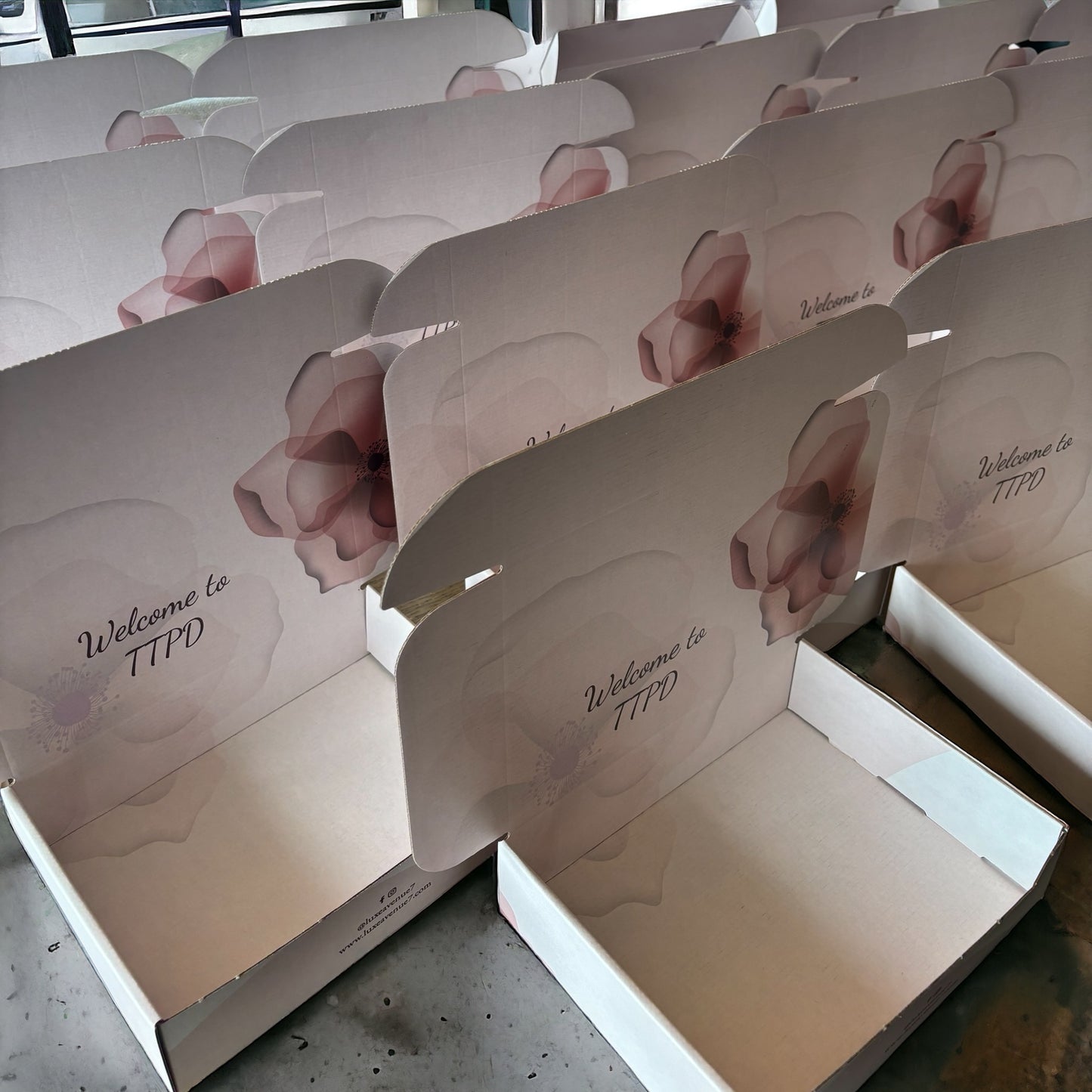 Full Midnights & Manuscripts