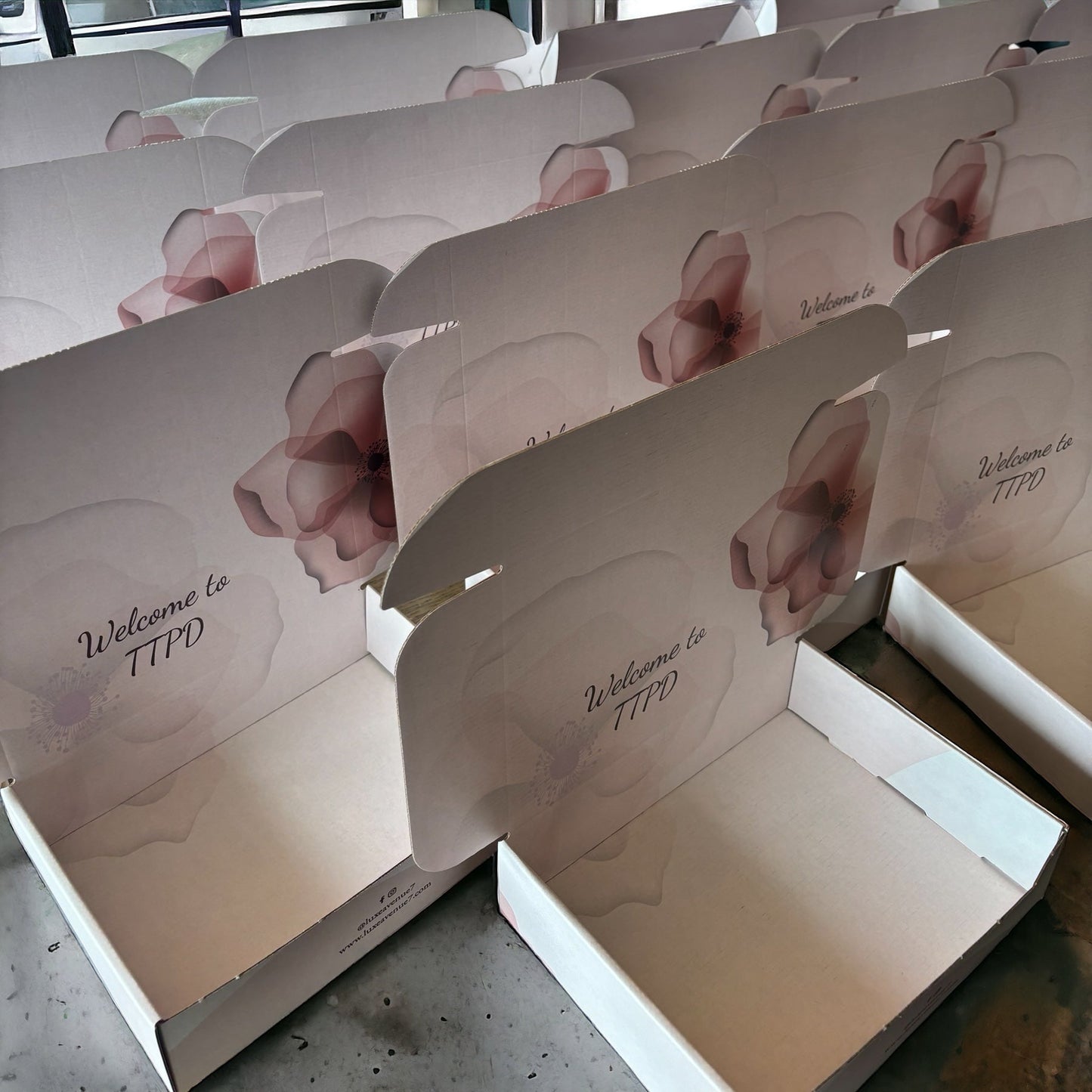 Mini Midnights and Manuscripts